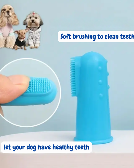 Blue pet toothbrush with text about dental care for dogs on a light blue background.