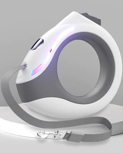 Modern dog leash and collar set on a gray background