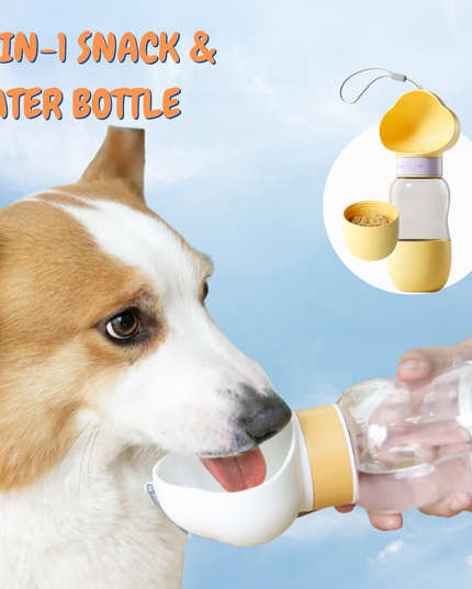 Dog drinking from a 2-in-1 snack and water bottle with a blue background