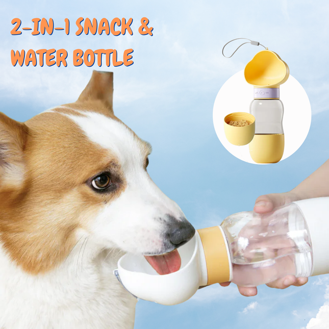 Dog drinking from a 2-in-1 snack and water bottle with a blue background