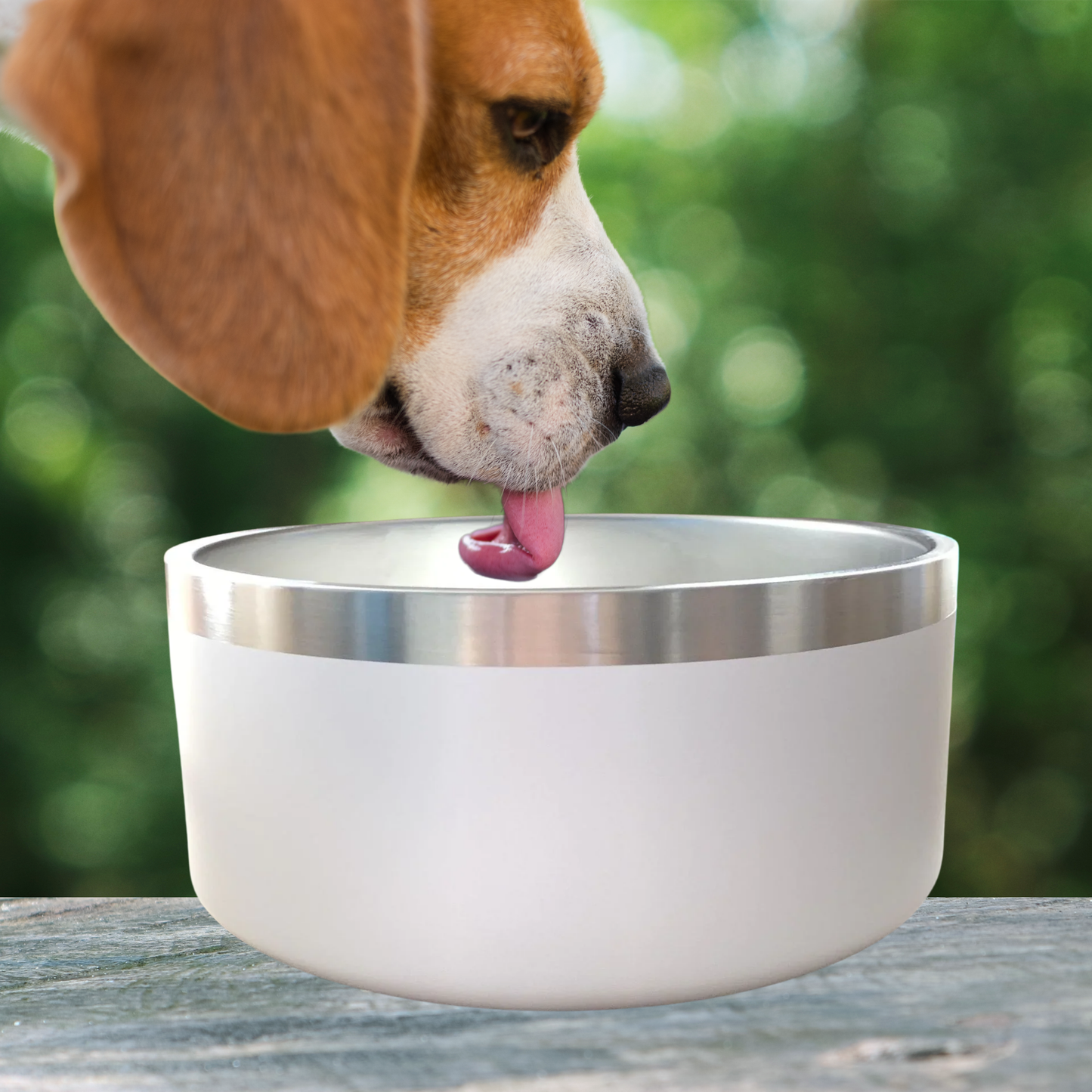 Stainless Steel Bowl