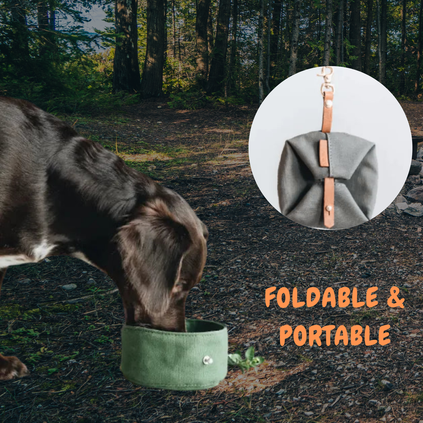 Portable Folding Bowl