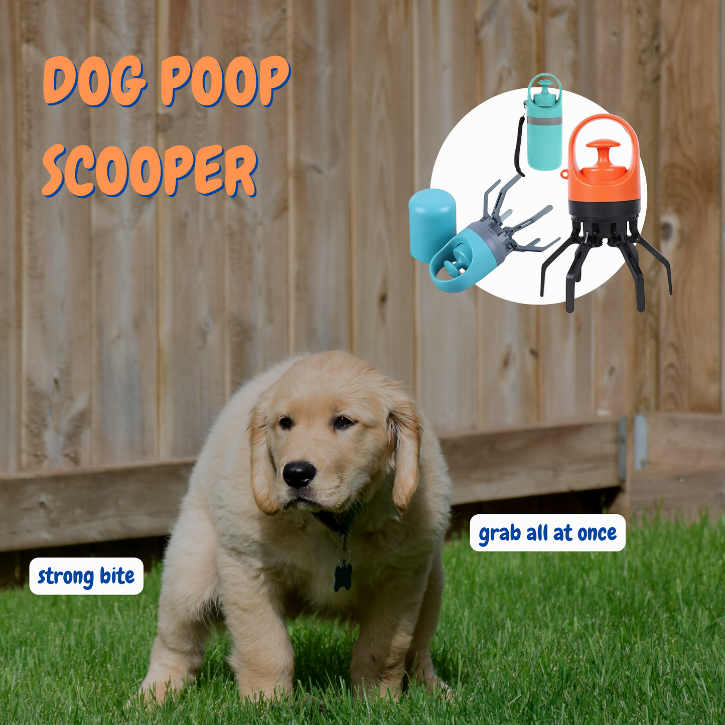 Portable Poop Scooper