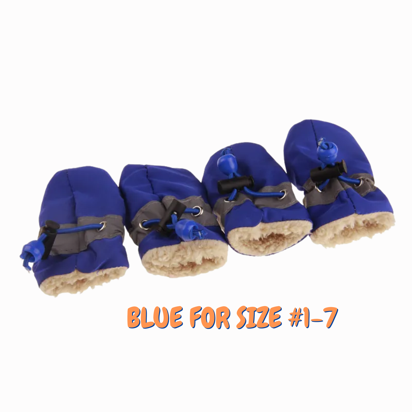 Casual Shoes