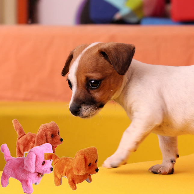 Puppy standing next to three dog-shaped toys on a colorful background