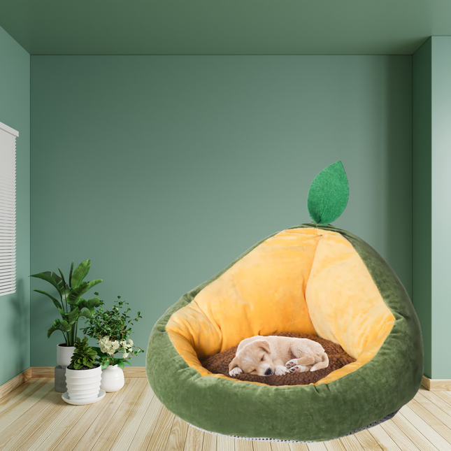Pet bed shaped like a lemon with a leaf on a green wall background