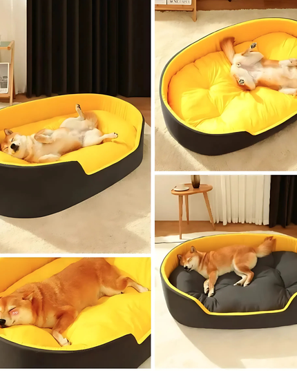 Collage of a dog lying on a yellow and black pet bed in various positions.