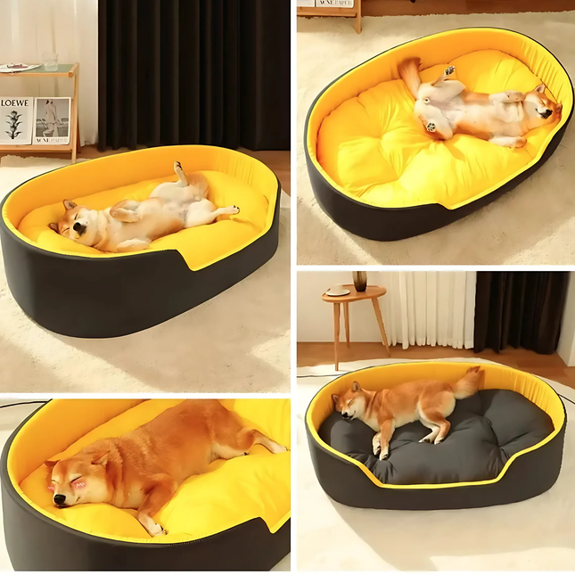 Collage of a dog lying on a yellow and black pet bed in various positions.