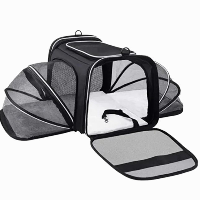 Pet carrier with mesh sides on a white background