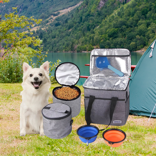 Dog with pet food and travel accessories in a scenic outdoor setting