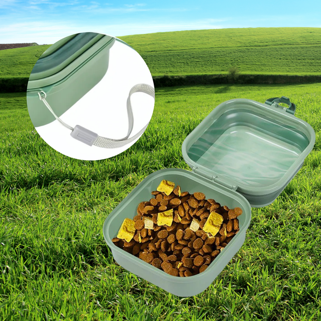 Collapsible pet food container with pet food on grass