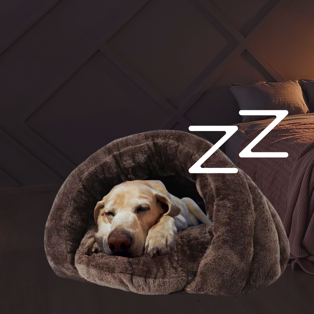 Dog sleeping in a brown pet bed with 'ZZ' symbol on a dark background