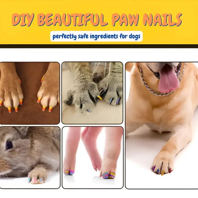 Collage of images showing pets with painted nails and text about DIY beautiful paw nails for dogs.