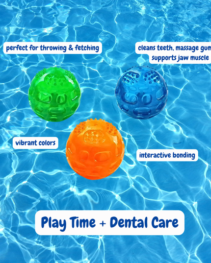 Three colorful dog toys in water with text describing their features.
