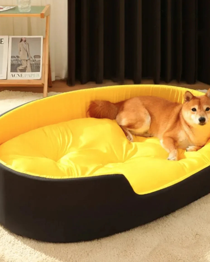 Dog lying on a yellow and black pet bed in a room with a Loewe poster.