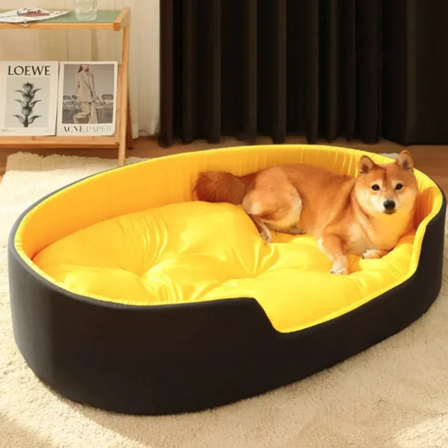 Dog lying on a yellow and black pet bed in a room with a Loewe poster.