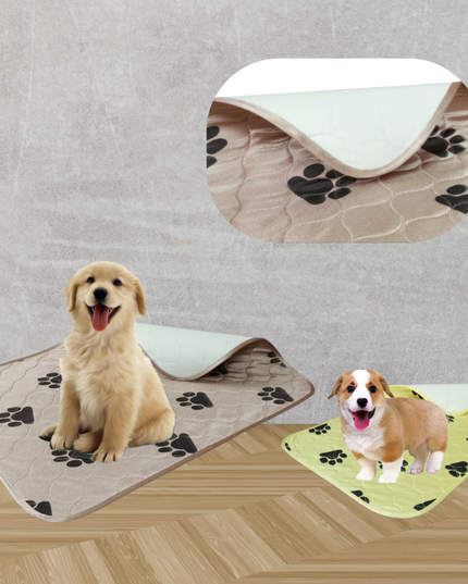 Pet training pads with paw prints, featuring two dogs on a wooden floor.