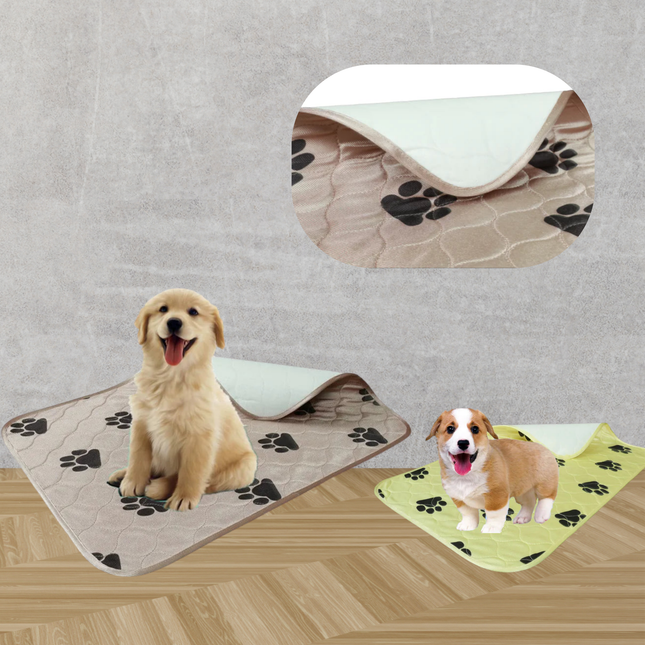 Pet training pads with paw prints, featuring two dogs on a wooden floor.