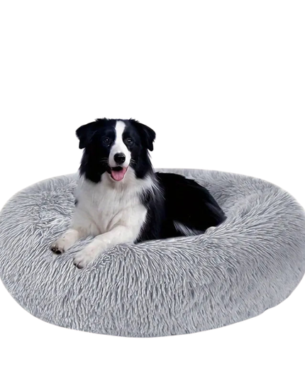 Dog lying on a fluffy gray pet bed against a white background