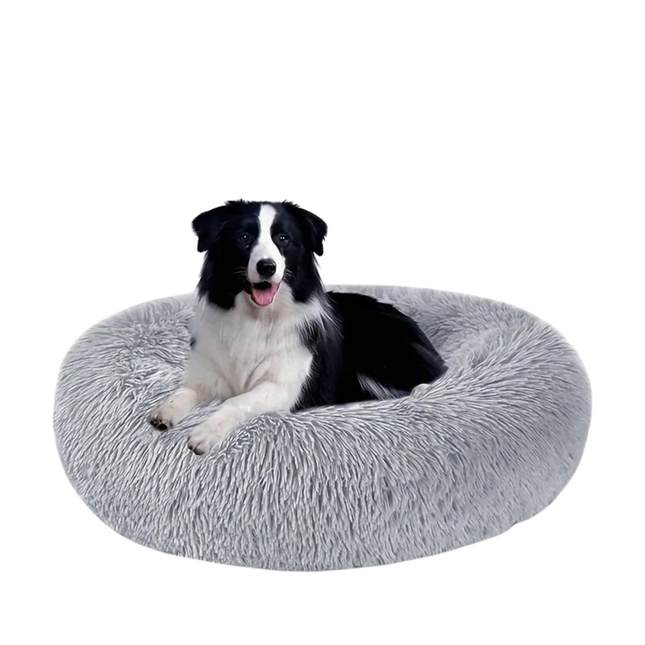 Dog lying on a fluffy gray pet bed against a white background