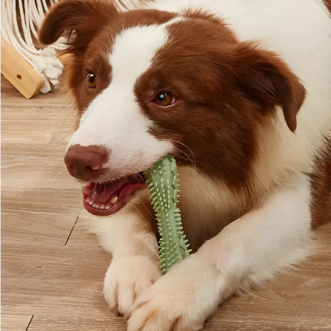 Brown and white dog playing with a green toy on a wooden floor
