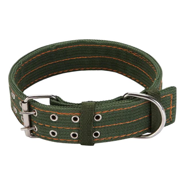 Green dog collar with metal hardware on a white background