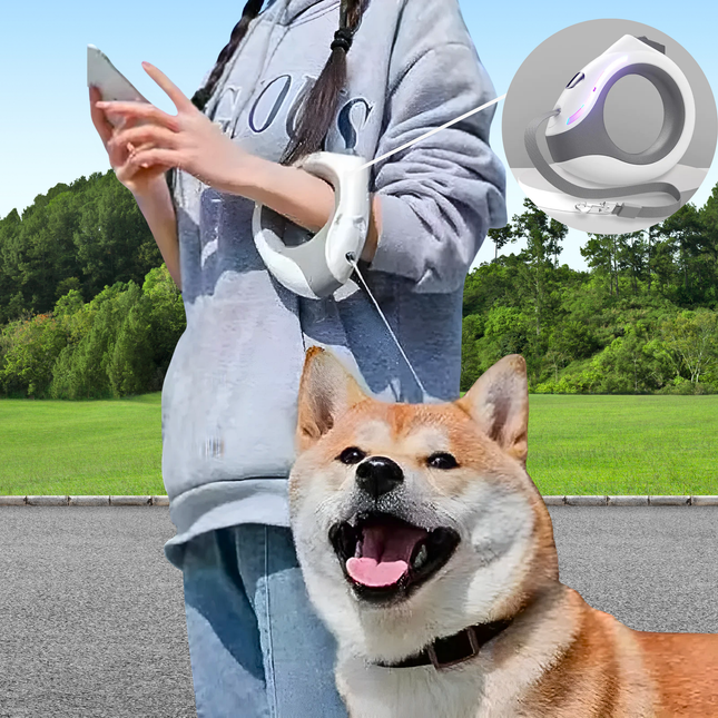 Person using a remote control device with a dog outdoors on a sunny day.