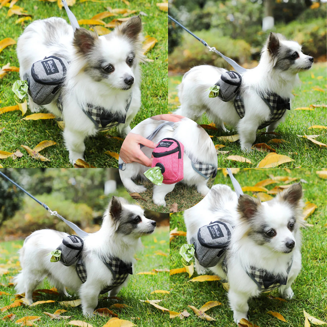 Collage of a small dog wearing a checkered harness in various poses on grass.