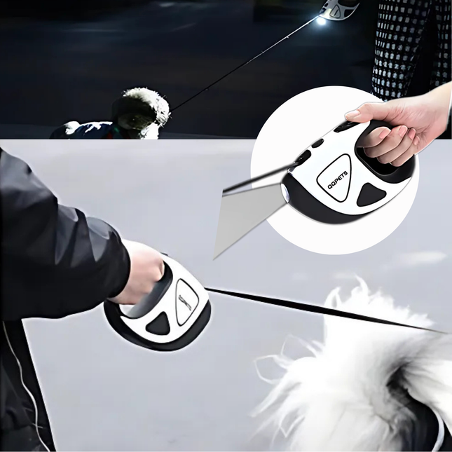 Person using a car window cleaning tool on a car window with a dog looking on.