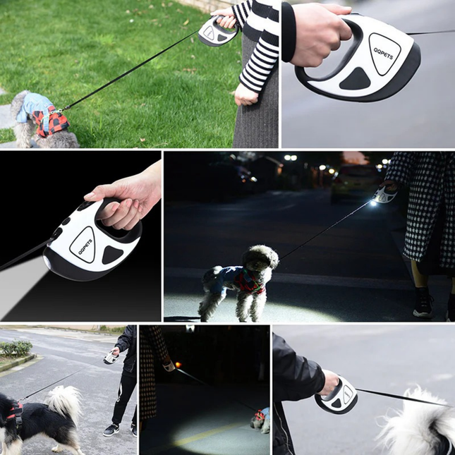 Collage of a person using a pet leash and car door opener, with a dog in various settings.