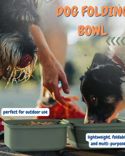 Two dogs eating from portable dog bowls with text highlighting features.
