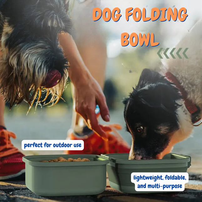 Two dogs eating from portable dog bowls with text highlighting features.