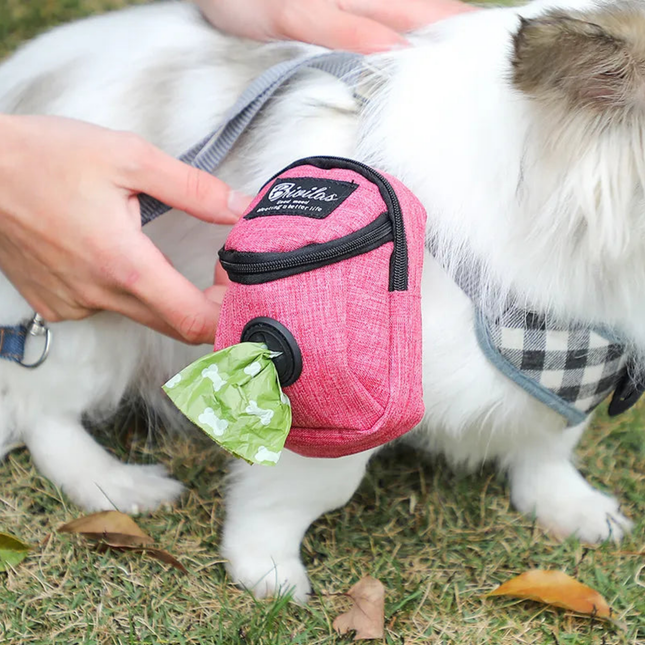 Small dog wearing a pink and black toy with a green interior, held by a person outdoors.