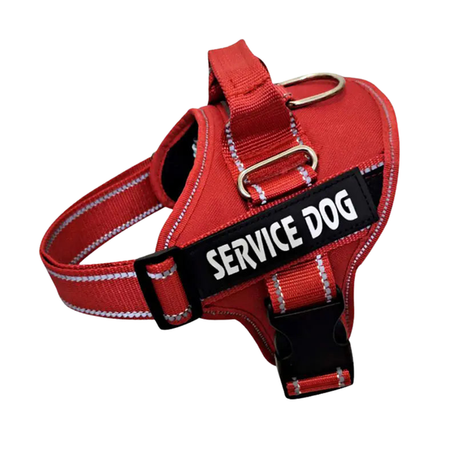 Red 'Service Dog' harness on a white background