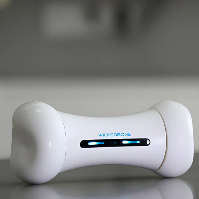 White dog toy with 'WickedBone' branding on a gray background