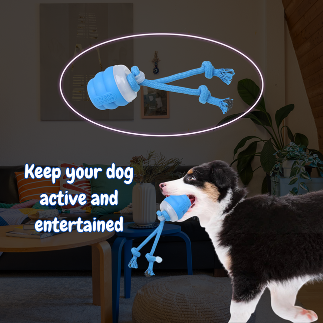 Dog playing with a blue toy in a living room setting