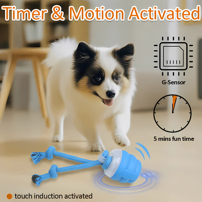 Dog playing with a blue toy, featuring text about timer and motion activation.