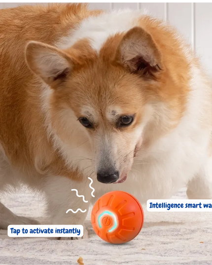 Dog interacting with an orange ball labeled 'Intelligence smart wake up' on a wooden floor.