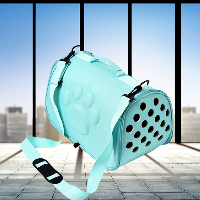 Light blue pet carrier with a strap against a cityscape background