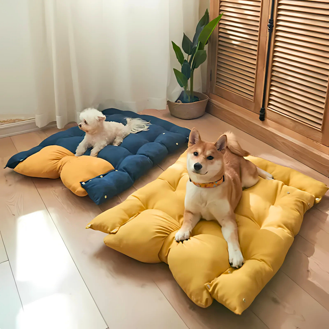 Two dogs on colorful pet beds in a room with wooden flooring and a plant.