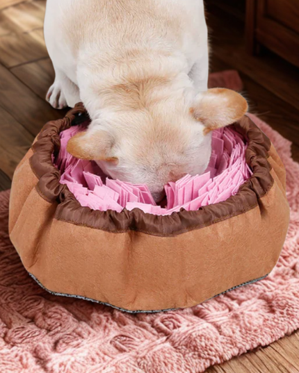 Dog playing with a pink and brown pet toy on a pink rug.