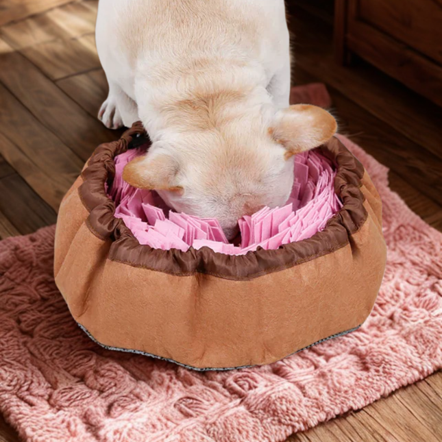 Dog playing with a pink and brown pet toy on a pink rug.
