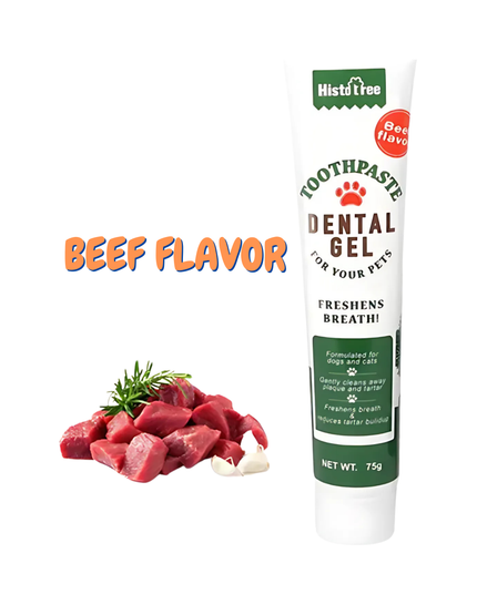 Tube of dental gel for pets with beef flavor, next to raw beef chunks on a white background