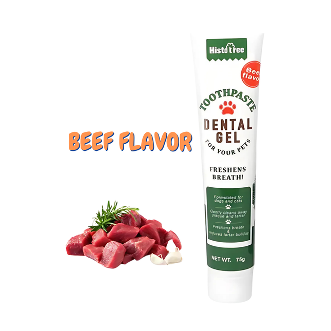 Tube of dental gel for pets with beef flavor, next to raw beef chunks on a white background
