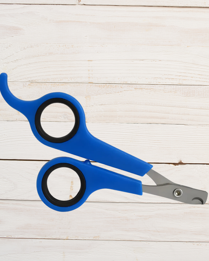 Blue pet nail clippers on a light wooden surface