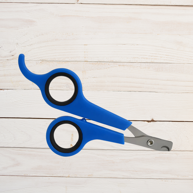 Blue pet nail clippers on a light wooden surface
