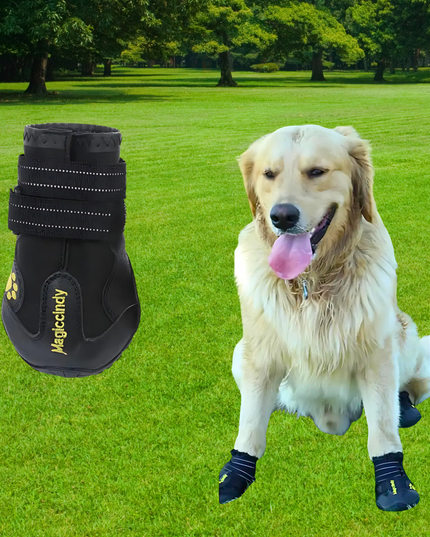 Black dog boot with yellow branding on grass, dog wearing boot in background