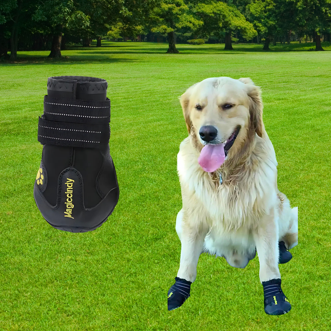 Black dog boot with yellow branding on grass, dog wearing boot in background