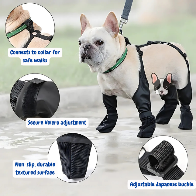 Dog wearing a harness and boots with features highlighted on a blurred background