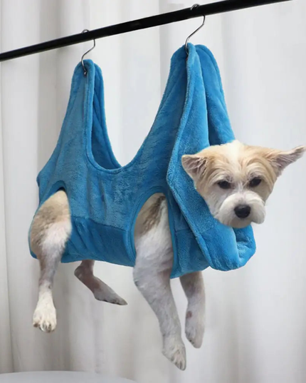 Dog hanging from a blue towel in front of a white curtain